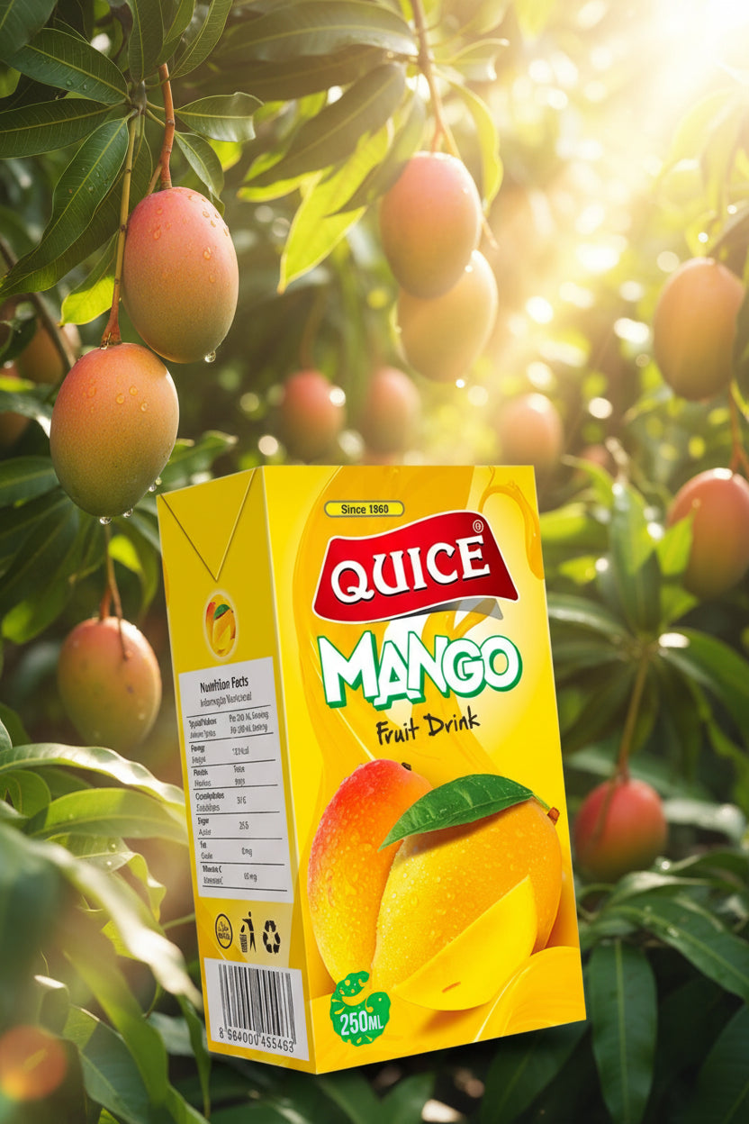 Quice Mango 250ml×36
