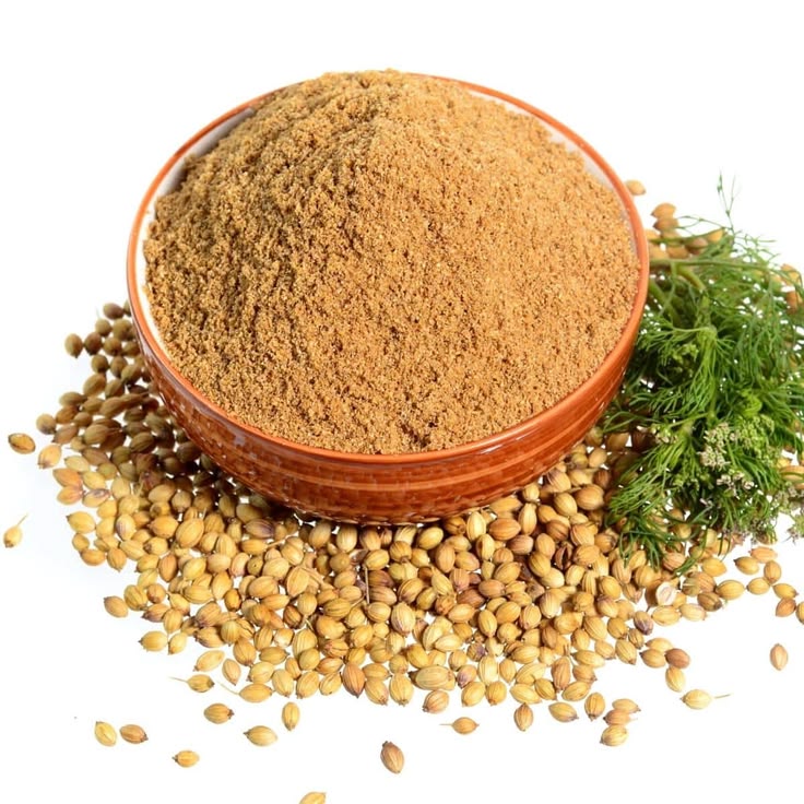 Coriander Power 100g