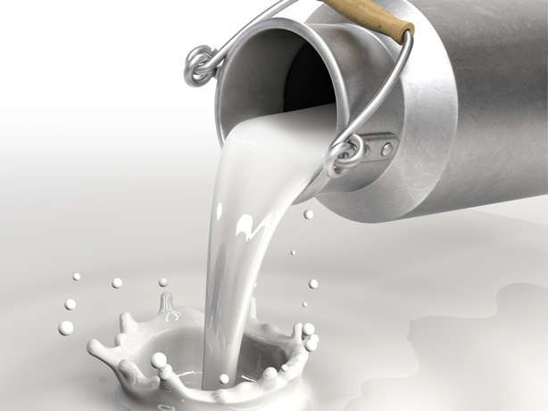 Dairy