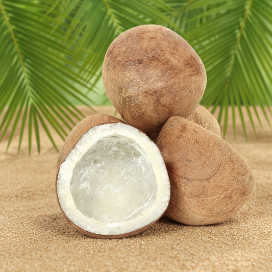 Dried Coconut(Copra)
