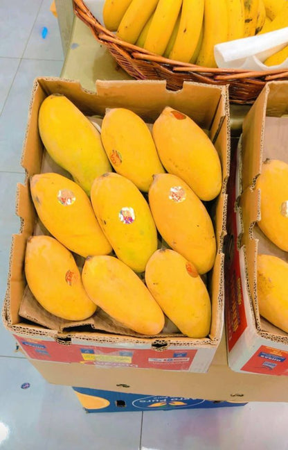 Sindhri Mangoes